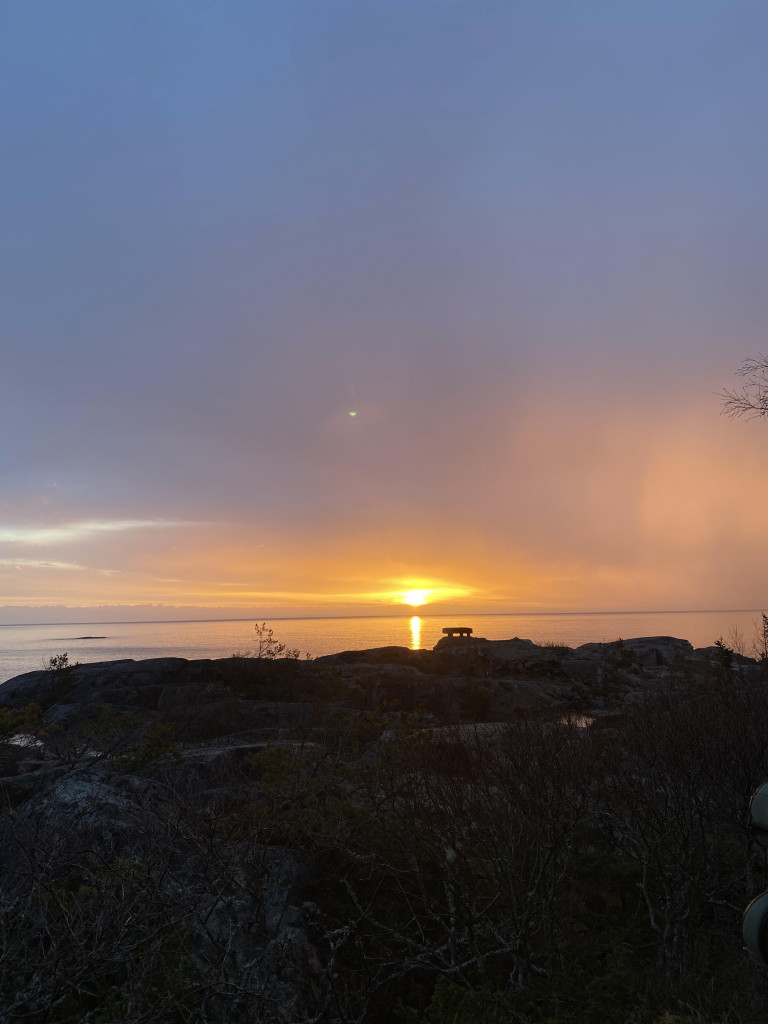 Rönnskärs udde en morgon i april